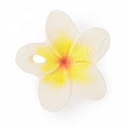 Oli&Carol mini kvet Hawaii the Flower 1×1 kus