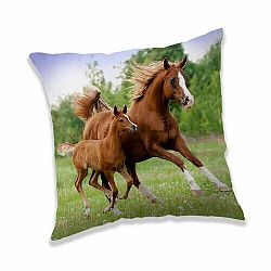 Jerry Fabrics Vankúšik Horse brown, 40 x 40 cm