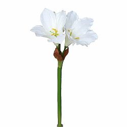 Umelá Amarylis biela, 52 cm