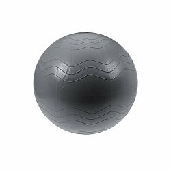 XQ Max Pomôcka na cvičenie Yoga Ball pr. 65 cm, strieborná