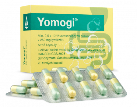 Yomogi cps.dur.20 x 250 mg